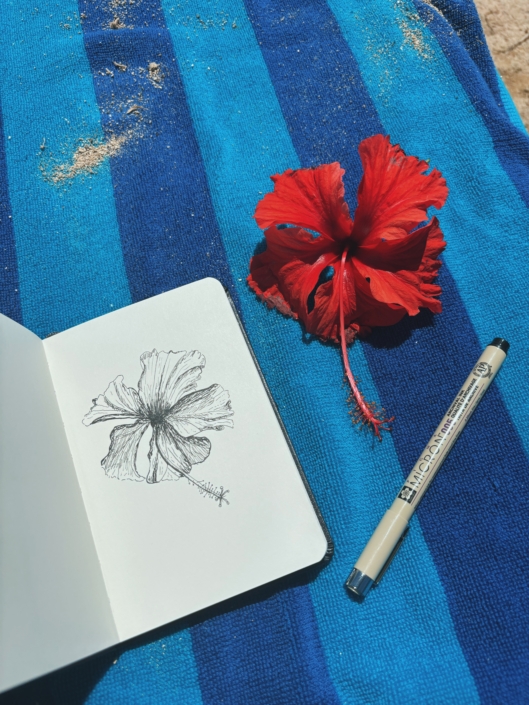 bring a sketchbook in your carry on for a long flight