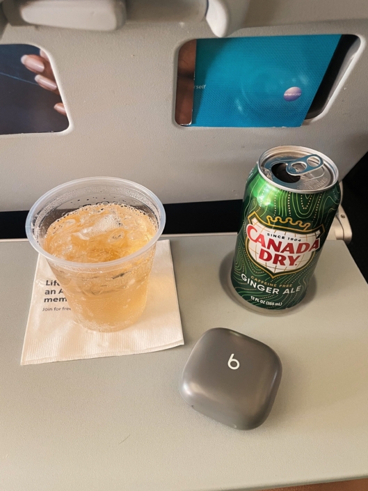 noise canceling headphones should be on your carry on packing list for a long flight