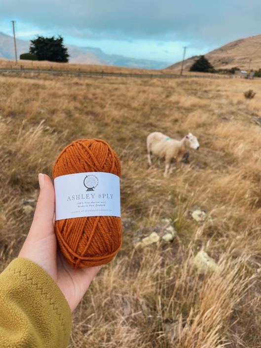 merino wool yarn with a sheep in the background. get to know culture before traveling internationally.