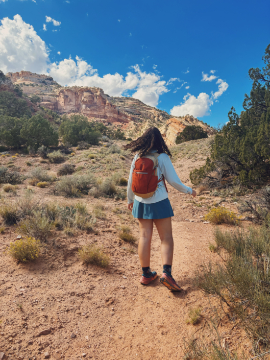 what to pack in a day hiking backpack what to pack in a day hiking backpack