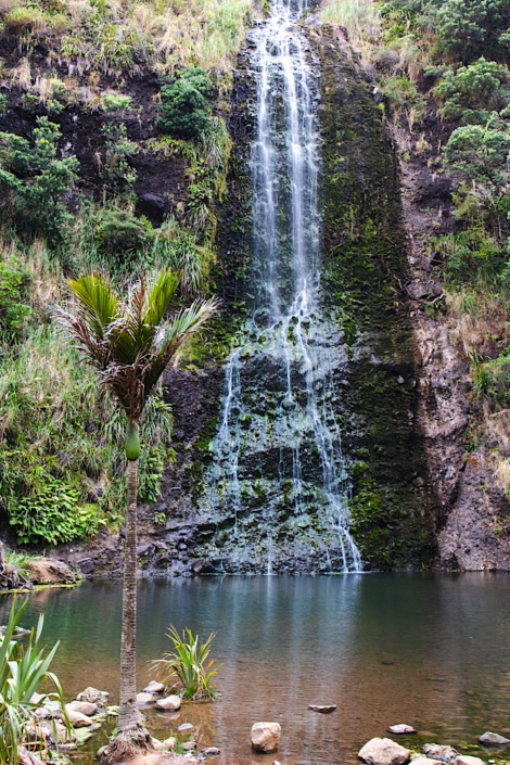karekare-falls-west-auckland-new-zealand Tall Karekare Falls surrounded by lush green forest in West Auckland, New Zealand.