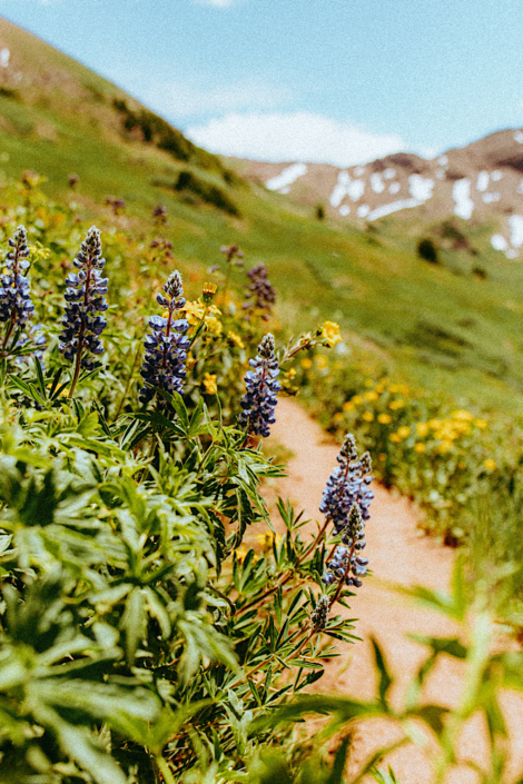 four pass loop permit