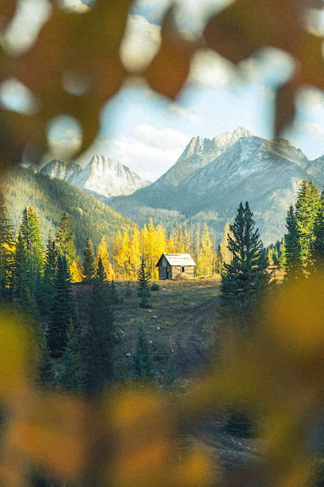 molas-pass-cabin-colorado-fall-aspen-trees Molas Pass Cabin in Colorado surrounded by vibrant yellow aspen trees during fall near Silverton