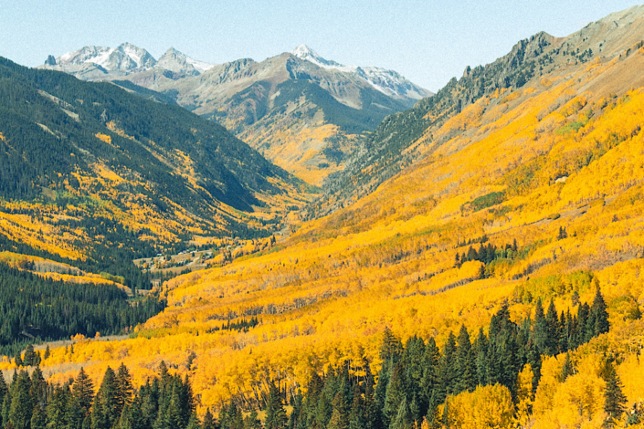 ophir-pass-colorado-west-side-fall-colors-town-of-ophir West side of Ophir Pass Colorado with golden aspen trees and the town of Ophir below during peak fall colors