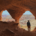View through a column at Colonnade Arch creating two arch openings with canyon landscape beyond