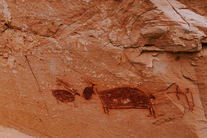 Hunter with bow and arrow pictograph alongside buffalo and elk figures at Horseshoe Shelter in Horseshoe Canyon