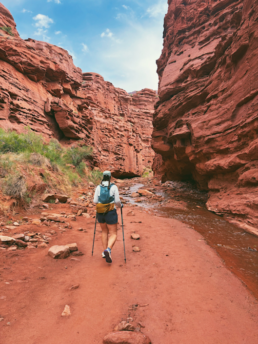 Canyon walls rising above Professor Creek while hiking deeper into Mary Jane Slot Canyon near Moab, Utah