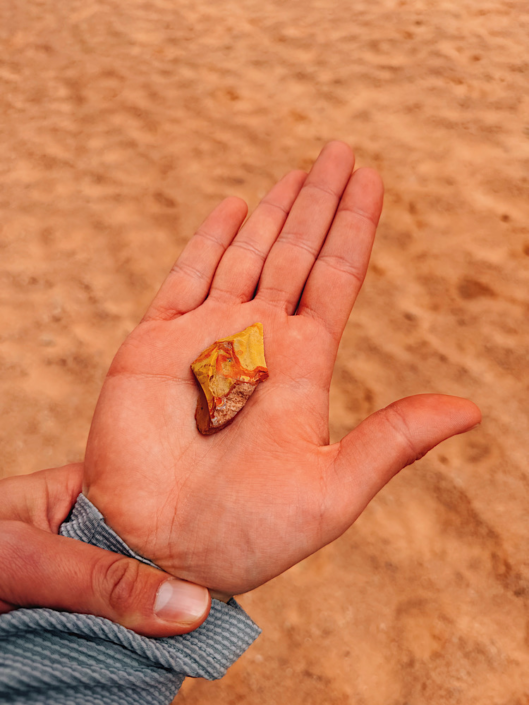 colorful worked rock in horseshoe canyon