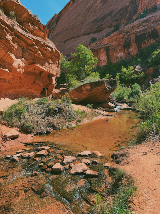 Rocks used for a creek crossing on the Grandstaff Canyon Trail with a small trail sign beside the stream