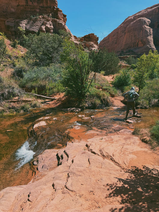 Hiker crossing the creek on stepping stones along the Grandstaff Canyon Trail near Moab