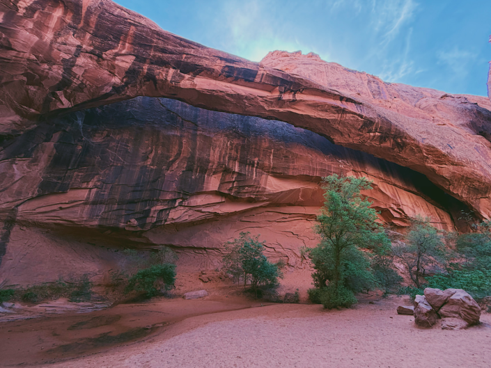 Morning Glory Natural Bridge towering above the canyon floor in Grandstaff Canyon near Moab, Utah