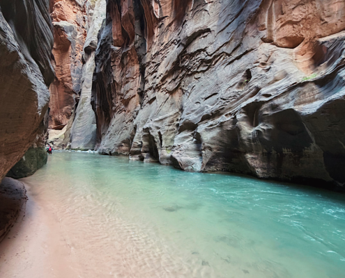 Blue water flowing through The Narrows hike in Zion National Park with towering sandstone slot canyon walls rising above the river.