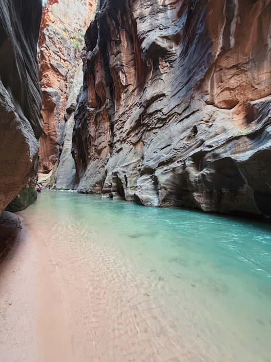 Blue water flowing through The Narrows hike in Zion National Park with towering sandstone slot canyon walls rising above the river.