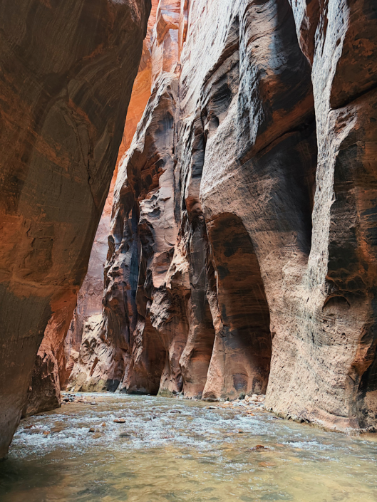 Wall-to-wall river and small rapids flowing through the narrow sandstone walls of The Narrows hike in Zion National Park.