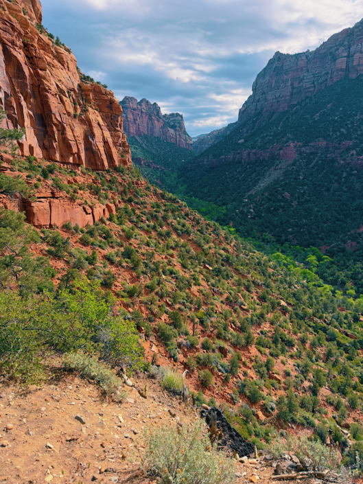 Looking down into Left Fork canyon from the steep descent at the start of the Zion Subway hike