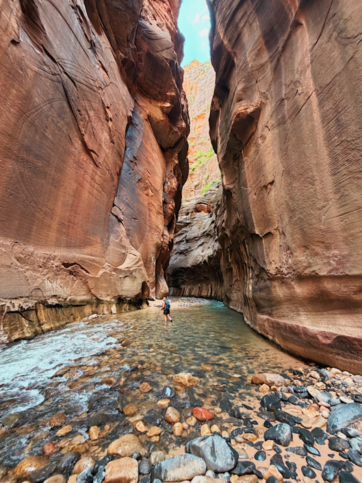 Hiker walking through The Narrows in Zion National Park