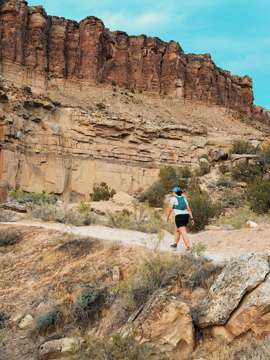 Hiking in Patagonia Maipo shorts in the desert