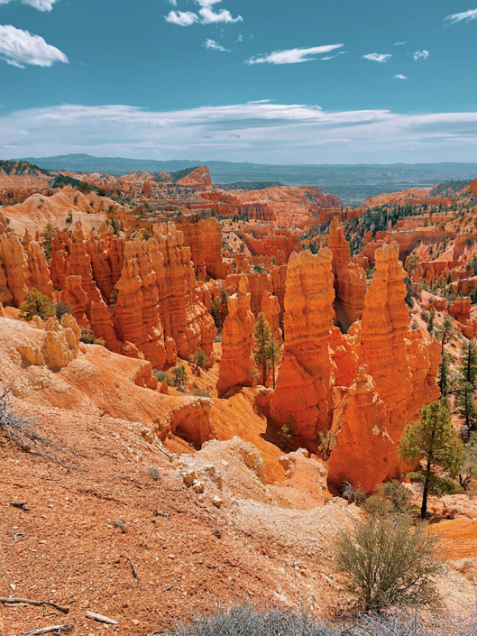Panoramic view from the Fairyland Loop Trail in Bryce Canyon National Park, highlighting the unique hoodoo landscape in a Zion vs Bryce National Park comparison.