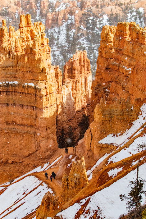 zion-vs-bryce-national-park-navajo-loop-winter-hikers Winter hikers descending the Navajo Loop Trail in Bryce Canyon National Park during a Zion vs Bryce National Park trip comparison.