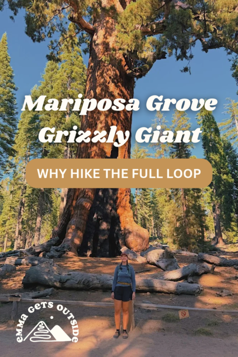 mariposa grove grizzly giant pinterest pin