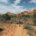 Hiker on an exposed desert trail surrounded by sandstone and desert vegetation