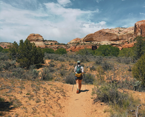 Hiker on an exposed desert trail surrounded by sandstone and desert vegetation