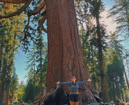 Hiker standing with arms out in front of the massive Grizzly Giant in Mariposa Grove, Yosemite