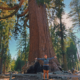 Hiker standing with arms out in front of the massive Grizzly Giant in Mariposa Grove, Yosemite