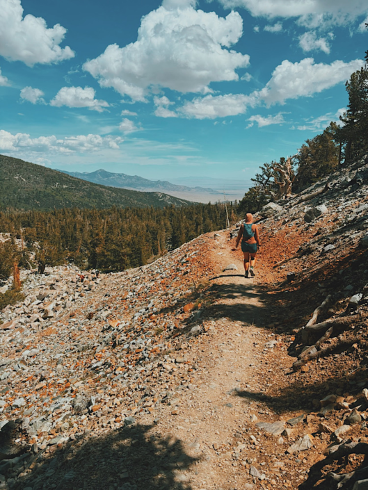 Hiker on the Bristlecone Pine Trail with mountain and forest views in Great Basin National Park