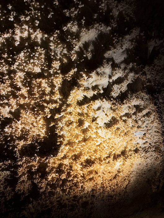 Cave popcorn formations illuminated inside Lehman Caves at Great Basin National Park