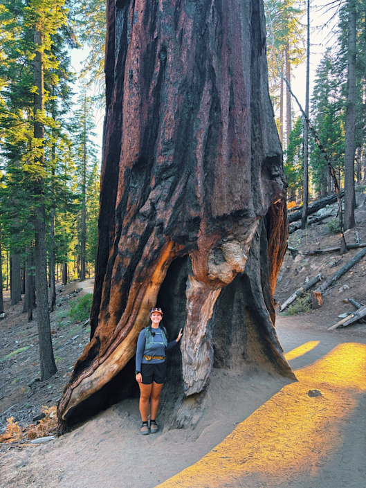 Hiker standing inside the hollow base of a giant sequoia along the Grizzly Giant Loop in Mariposa Grove.